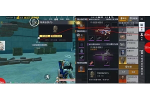 和平精英星亮一体直装全绘制功能辅助下载 v1.6