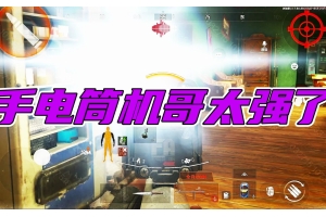 别再菜鸟一秒！逆袭高手秘籍大揭秘（菜鸟逆袭时代全文免费阅读）